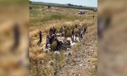 Şanlıurfa'da feci kaza: 1 ölü, 4 yaralı