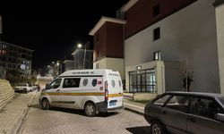 Tartıştığı damadını bıçakladı