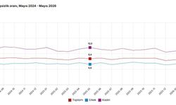 TÜİK, Mayıs 2026 dönemine ilişkin iş gücü istatistiklerini açıkladı