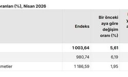 TÜİK, nisan ayı tarımsal girdi endeksini duyurdu