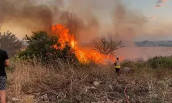 Hatay'da korkutan yangın!