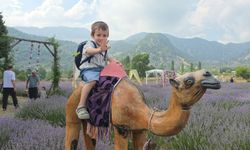 Adana'da lavanta bahçeleri turizmin yeni gözdesi oldu