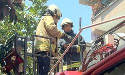 Avcılar'da mahsur kalan güvercin kurtarıldı