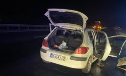 Aydın'da Otomobil Kamyona Çarptı