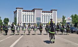 Başkentte NATO Zirvesi öncesi atlı polisler devriyede