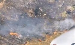 Bilecik'te Tarım Arazisi Yandı