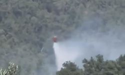 Bodrum'da korkutan yangın