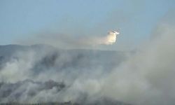 Çanakkale'de orman yangını!