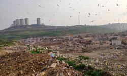 Çevreyi Kirleten İşletmelere Yüklü Ceza
