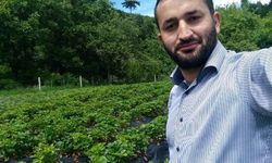 Çorum'da Köye İnen Ayılar Bahçelere Saldırdı