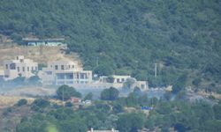 Cunda Adası'nda orman yangını çıktı