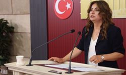 DEM Parti yasa taslağının İmralı heyetine iletilmesini bekliyor