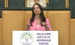 DEM Parti'li Hatimoğulları'dan çerçeve yasa hatırlatması
