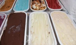 Dondurma karışımı iyi derecede pastörize edilmeli
