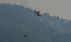 İspanya'daki orman yangınında 11 kişi öldü