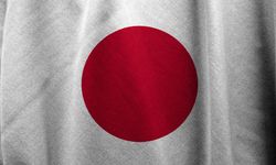 Japonya'da Ahşap Ev Yandı