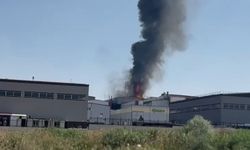 Kahramankazan'da korkutan yangın!