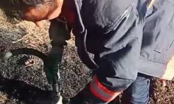 Malatya'da evde çıkan yangın diğer ev ve ormana sıçradı
