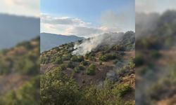 Malatya'da orman yangını kontrol altına alındı
