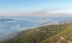 Milas'taki orman yangını devam ediyor