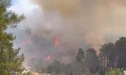 Muğla'da Korkutan Yangın