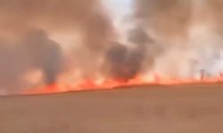 Nusaybin'de mayınlı sınır hattında yangın!
