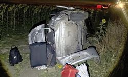 Otomobil ayçiçeği tarlasına devrildi