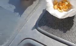 Sahte altın diş satan şüpheliler tutuklandı