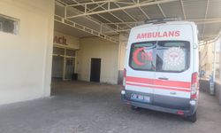 Şanlıurfa'da kız kardeşler gölette boğuldu