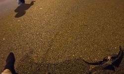 Sultangazi'de 2 motosikletin kafa kafaya çarpıştı