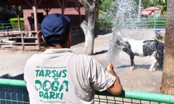 Tarsus Doğa Parkı'nda hayvanlara sıcak mesaisi: Buzlu meyve kokteylleriyle serinliyorlar