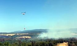 Tekirdağ'da orman yangını
