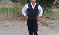 Tokat'ta traktör dereye devrildi