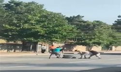 Trafikte sürücüyü sopalarla darbedenler tutuklandı