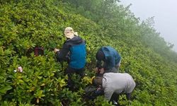 Rize'de Umutlu Bekleyiş Sona Erdi! Kaybolan 3 Rus Turiste Ulaşıldı