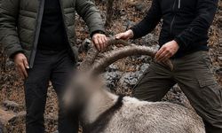 5 yaban keçisini yasa dışı avlayan kişilere para cezası