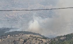 Adıyaman'da iki köy arasında orman yangını