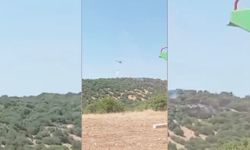 Adıyaman'da ormanı alevler sardı!