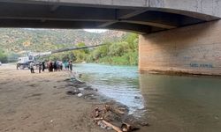 Adıyaman'da otomobil bariyerlere çarptı