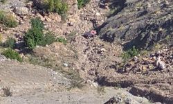 Artvin'de ATV şarampole yuvarlandı