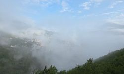 Artvin'de sis bulutu görenleri kendine hayran bıraktı