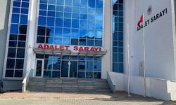 Av Tüfeğiyle Öldürülen 'Sütlaç' İçin Suç Duyurusu