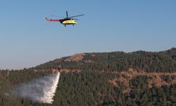 Aydın'daki orman yangını devam ediyor