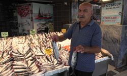 Balıkta Av Yasağı Sona Eriyor