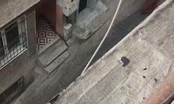 Berberde taşlı sopalı fön kavgası