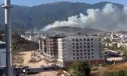 Bursa'da Korkutan Orman Yangını