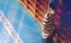 Camide ayakkabı hırsızlığı