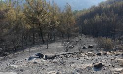 Çine’de Yangına Havadan Müdahale Yeniden Başladı