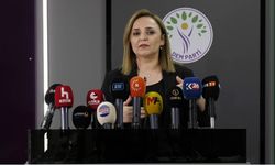DEM Parti'li Doğan'dan çerçeve yasa açıklaması