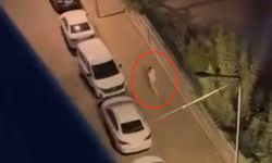 Diyarbakır'da yumruklu kavga!
